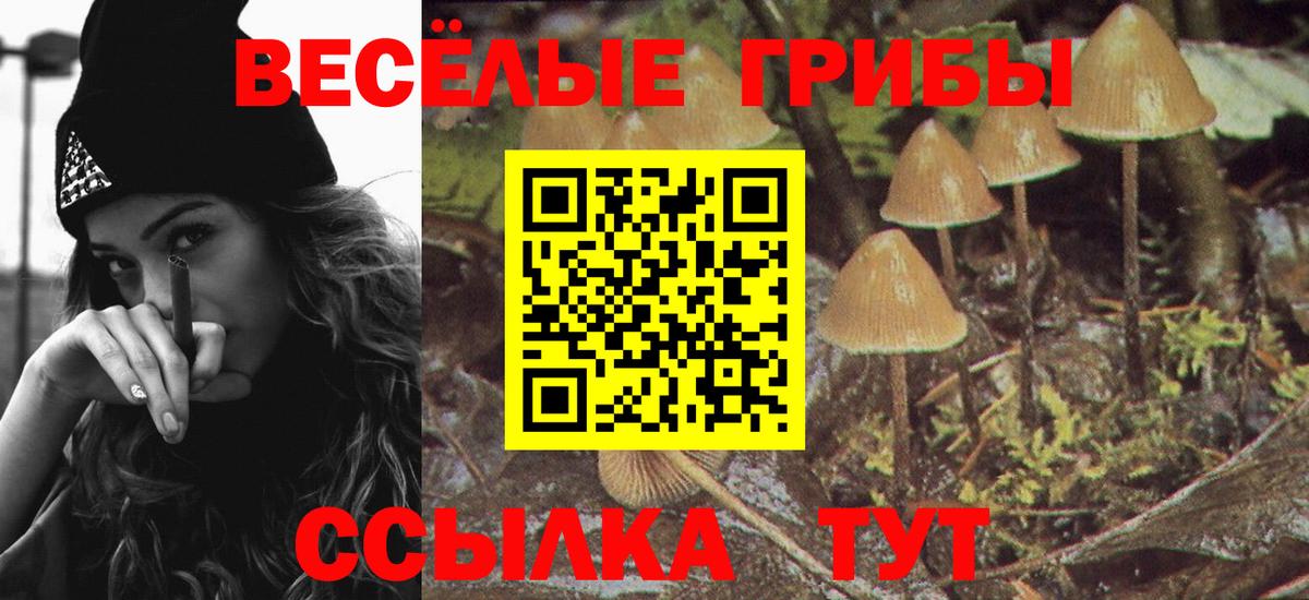 Псилоцибиновые грибы MAGIC MUSHROOMS  Галлюциногенные грибы мицелий  Новосибирск  Вход с VPN 